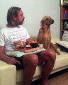 Regardez ce chien qui rêve du repas de son maître !