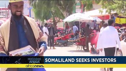 Somaliland seeks investors [Business Africa]