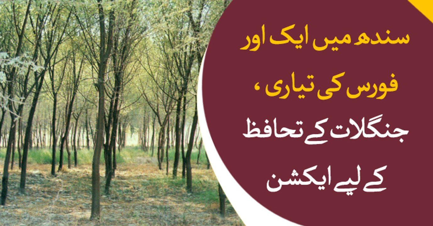 Another force to be made in Sindh to avoid deforestation