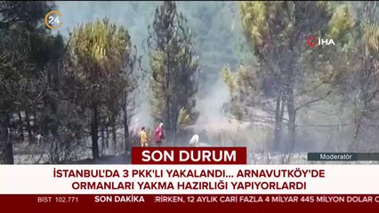 İstanbul'da 3 PKK'lı terörist yakalandı