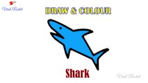 Shark Drawing for kids | How to Draw Shark easily for children | Art Breeze # 27 | Learn Drawing and Colouring for kids | Viral Rocket