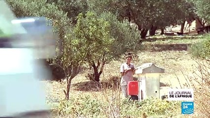 Présidentielle Tunisienne : les habitants des zones rurales désabusés