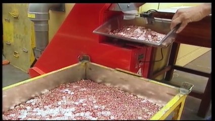 El INE confirma que el IPC se moderó al 0,3% en agosto