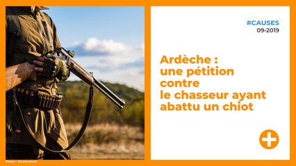 Ardèche : une pétition contre le chasseur ayant abattu un chiot