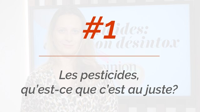 Les pesticides, qu'est-ce que c'est au juste?