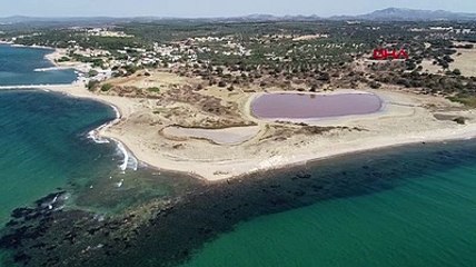 Herkes, kalpli gölün pembeleşmesini bekliyor