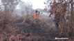 Firefighters battle blazes as wildfires rage through rainforest