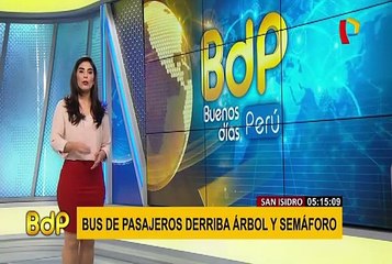 San Isidro: bus choca y derriba árbol y semáforo