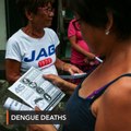 Dengue death toll climbs to 1,021 in August