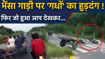 Uttar Pradesh के Meerut में High Way पर मौत की रेल का Viral Video | वनइंडिया हिंदी