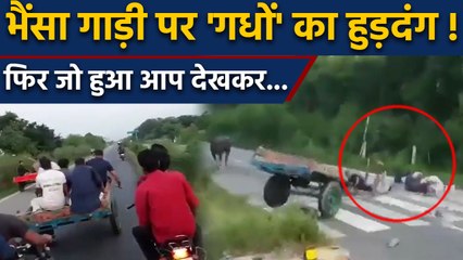 Uttar Pradesh के Meerut में High Way पर मौत की रेल का Viral Video | वनइंडिया हिंदी