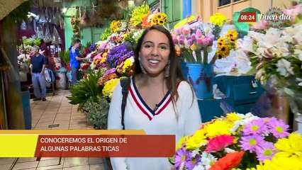 bdConoceremos el origen de algunas palabras ticas130919