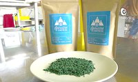 Reportage  - La Spiruline de Chartreuse
