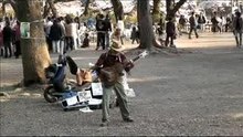 O Hanami 2006