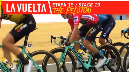 Le peloton / The peloton - Étape 19 / Stage 19 | La Vuelta 19