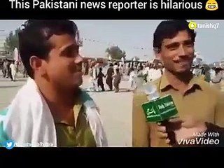 this reporter is hilarious