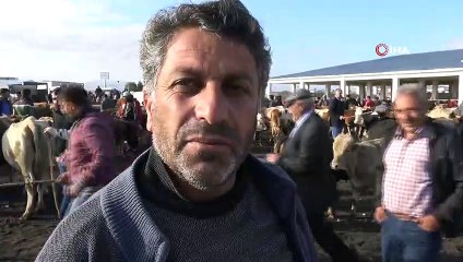 Kars’ta saman fiyatları hayvan pazarını olumsuz etkiliyor