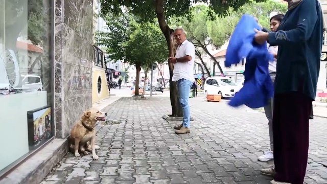Yağmurda ıslanan köpeği kıyafetiyle kuruladı - MUĞLA