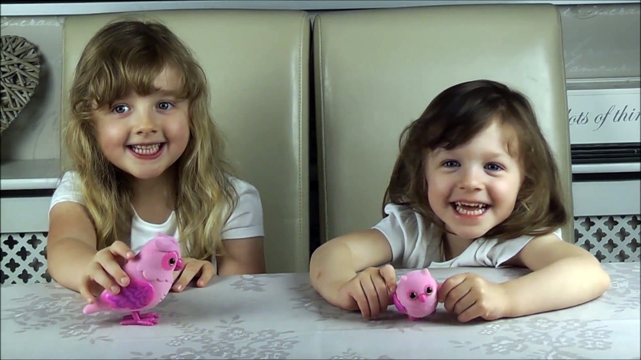 Brinquedos Baby