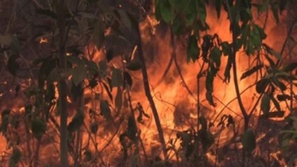 El cielo es la única solución a los incendios en Bolivia, dice experto