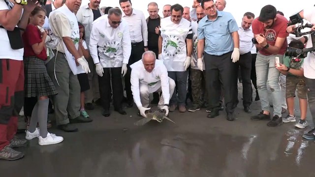 Tedavi edilen caretta carettalar denizle buluştu - MERSİN