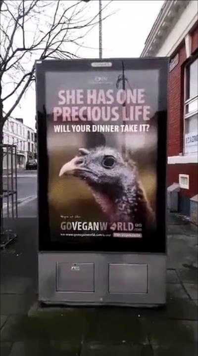Cette pub vegan va perdre toute crédibilité à cause de la pub suivante