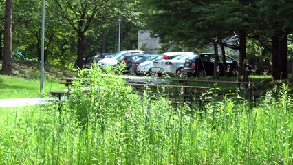 Sony FDR-AX100 camcorder: 2160p test video.