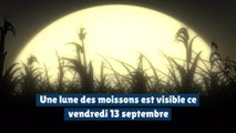 Une lune des moissons est visible ce vendredi 13 septembre