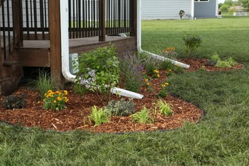 Landscape Around a Deck