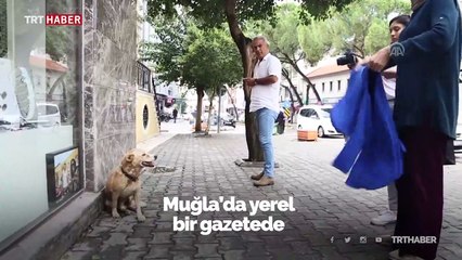 Yağmurda ıslanan köpeği kıyafetiyle kuruladı
