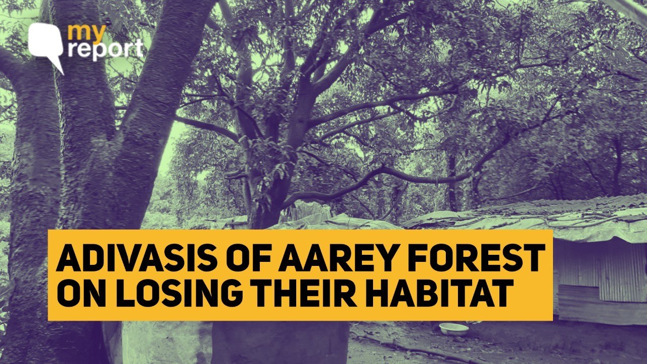 11SEPT_Aarey Deforestation
