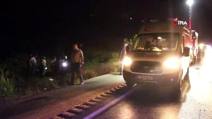 Köpeğe çarpan otomobil kanala uçtu: 1'i ağır 2 yaralı