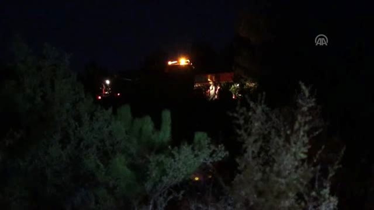 Orman yangını