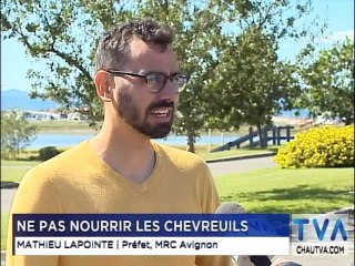 13 septembre TVA Nouvelles 18h CHAU