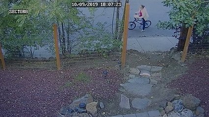 Person Takes Poopy Parcel