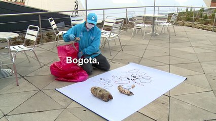 Colombie: saisie de morceaux d'un millier d'animaux utilisés en sorcellerie