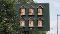 McDonald's Sweden Is Putting Beehives in Billboards