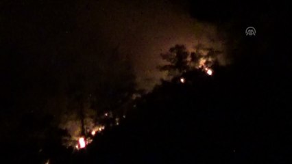 Orman yangını - MUĞLA