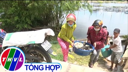 THVL | Hơn 60 tấn cá nuôi lồng chết bất thường tại Thừa Thiên Huế
