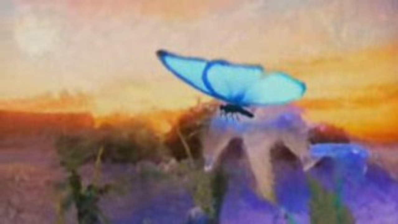 Conversations avec Dieu 1 - Neale D. Walsch