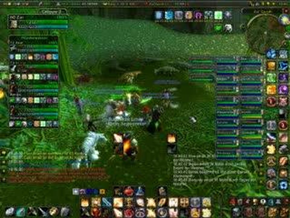 Zg - krokodile in not