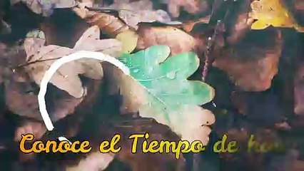 Conoce El Tiempo de Hoy Sábado 14 de Septiembre de 2019