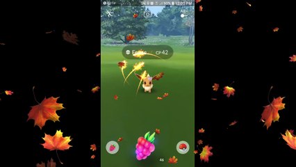 Pokémon GO Catching Eevee and Evoling to Glaceon & Leafeon crazy energy makes me use special poke ball