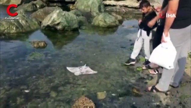 Zıpkınla öldürülmüş halde bulundu