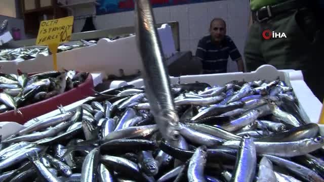 Piraziz Su ürünleri Kooperatifi Başkanı Hamdi Arslan: Karadeniz alarm veriyor, balık av sezonu...