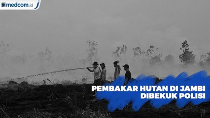 Pembakar Hutan di Jambi Dibekuk Polisi