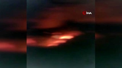 Muğla Ortaca'da yangın