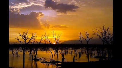 Yala National Park Leopard ID project