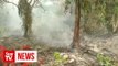 Four Malaysian firms behind fires at plantations, claims Indonesia