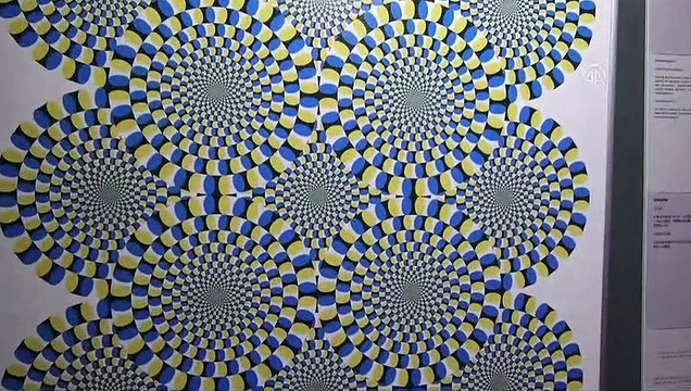 Malezya'daki 'İllüzyonlar Müzesi' ilgi görüyor - KUALA LUMPUR